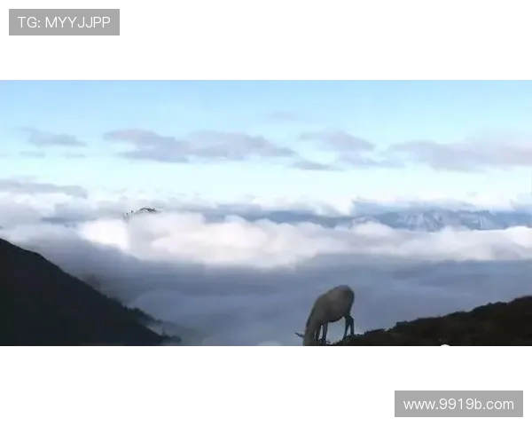 地理世界直播：足不出户探索全球奇景