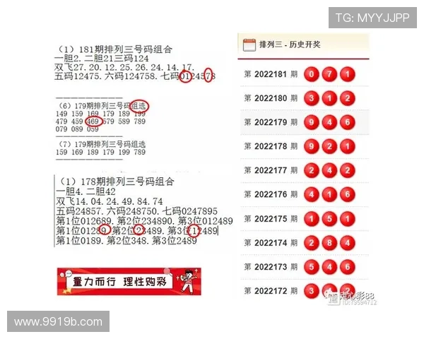 百期开奖号码全记录与走势深度解析